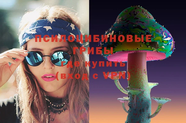 индика Верхнеуральск