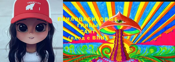 индика Верхнеуральск