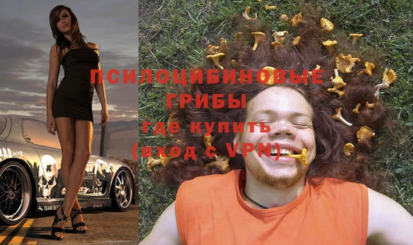 индика Верхнеуральск