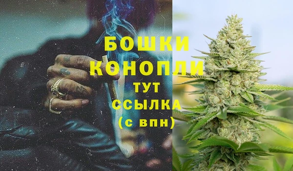 индика Верхнеуральск