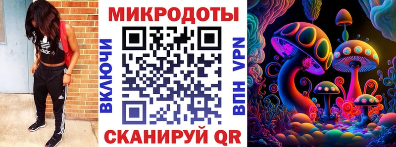 Купить  Верея  Псилоцибиновые грибы Cubensis 